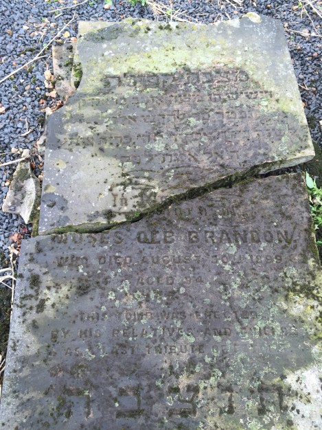 Brandon Stone After Being Cleaned